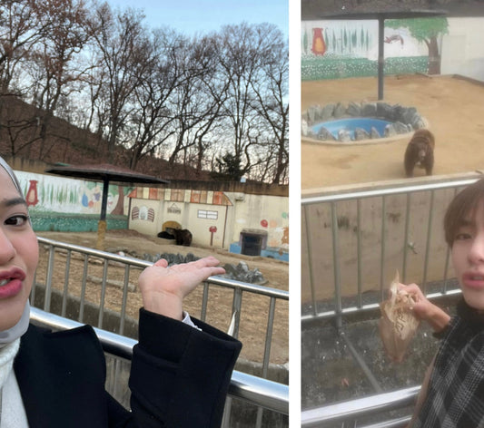 ✨ My Beautiful Scenery, Kim Taehyung ✨