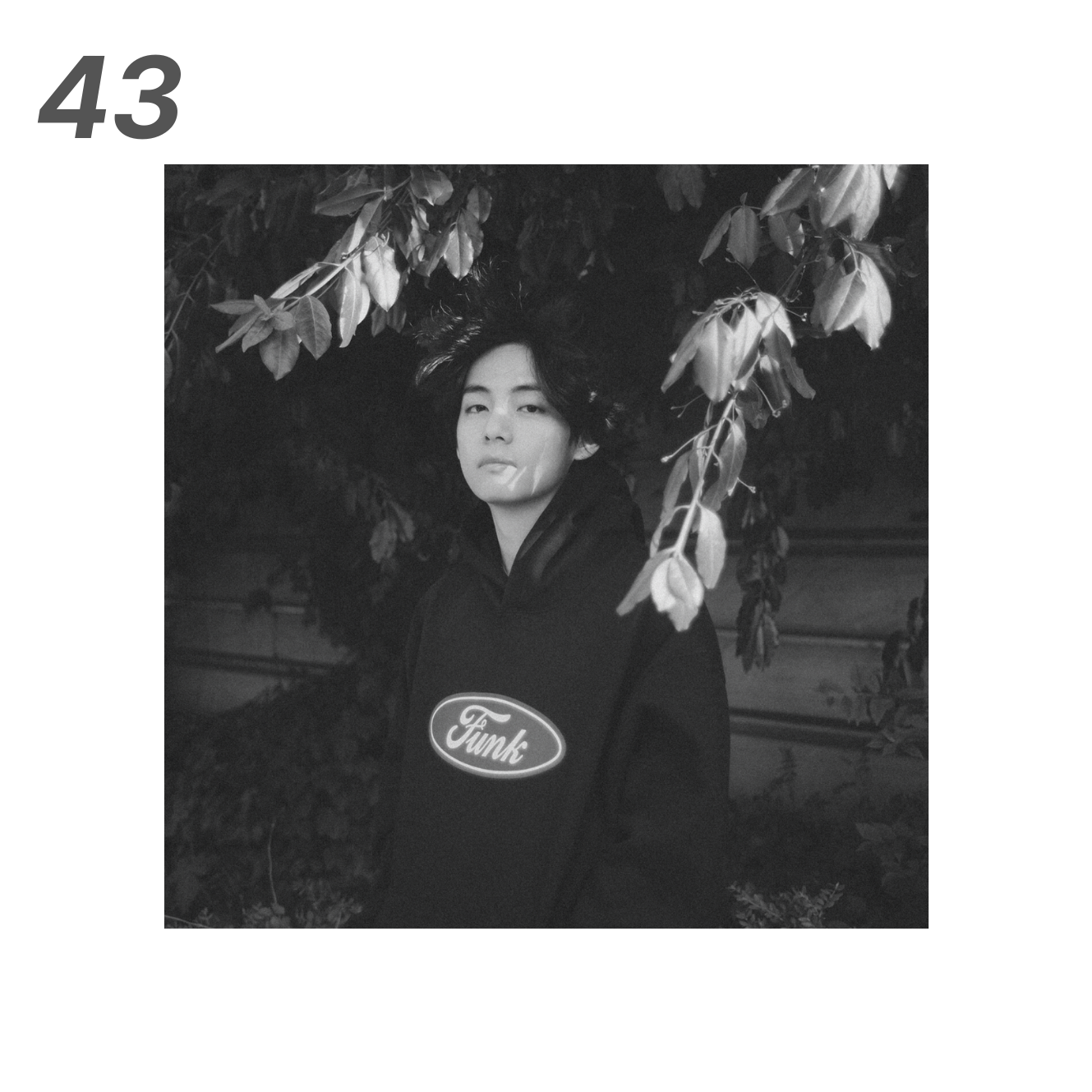 Foam Boards from A Beautiful Scenery, Vante IV