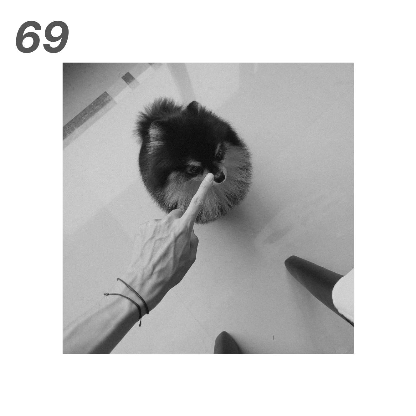 Foam Boards from A Beautiful Scenery, Vante IV