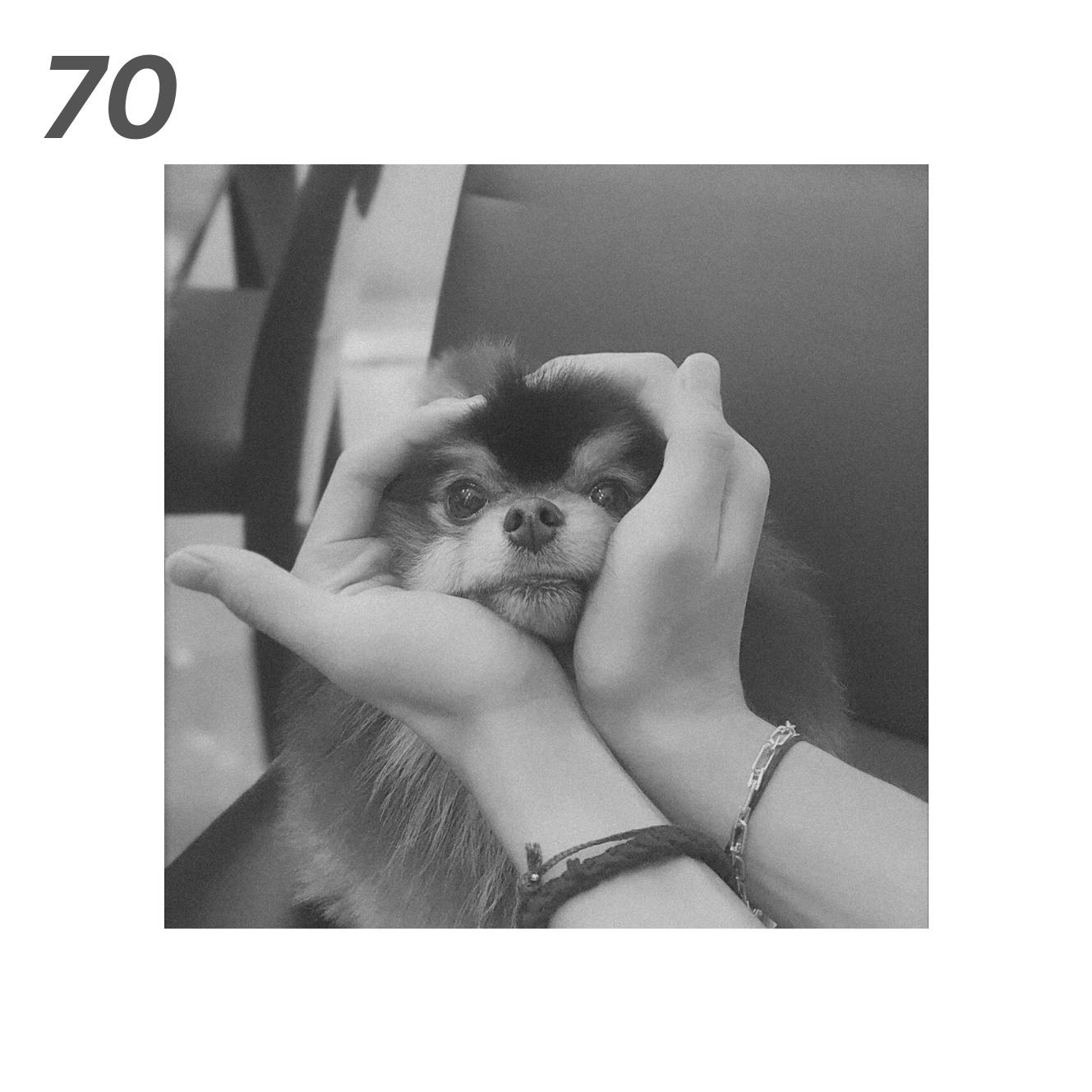 Foam Boards from A Beautiful Scenery, Vante IV